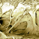 Image for article titled Can you tell satellite images from microscopic pictures? Test yourself